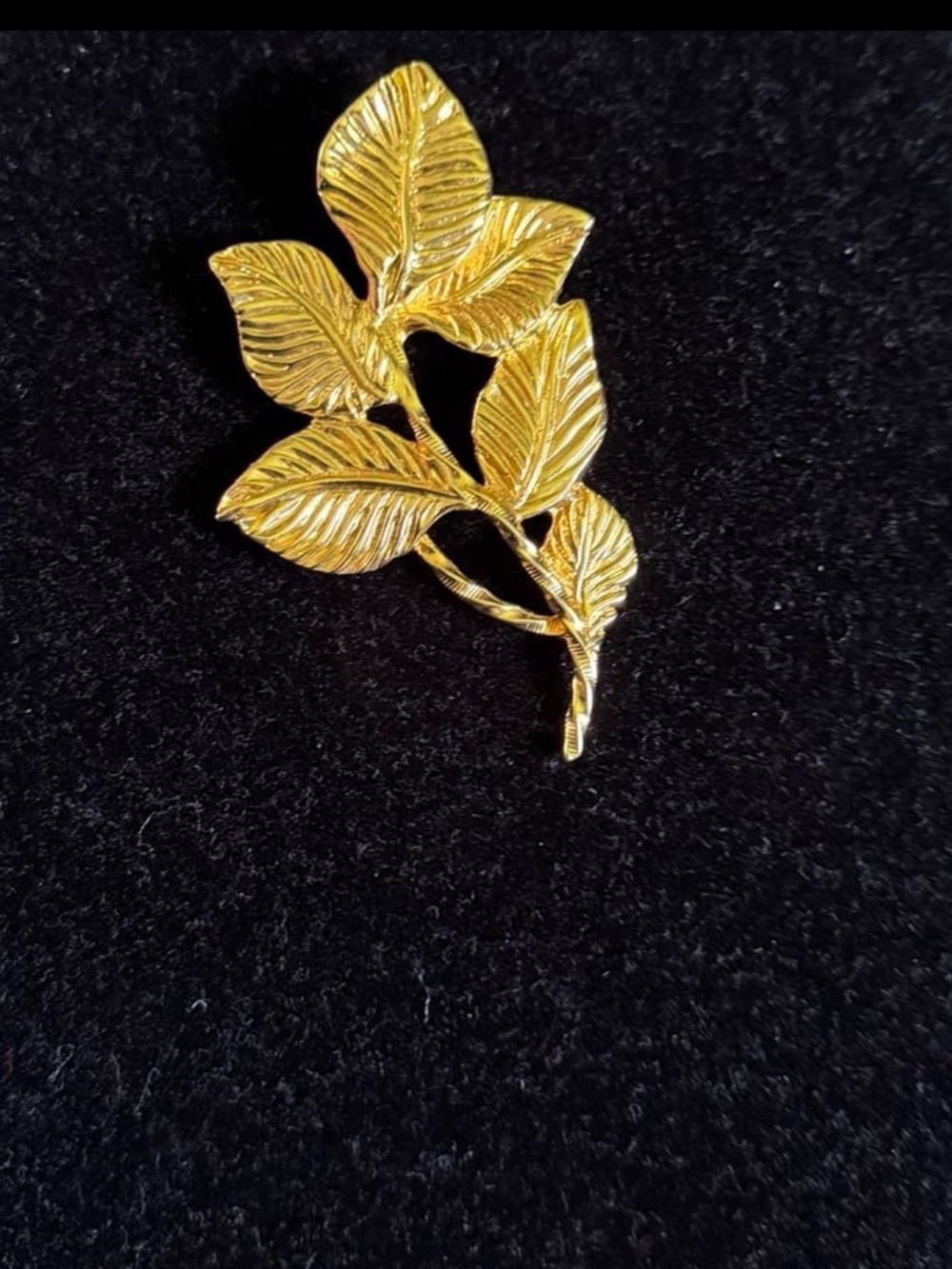 Large leaf brooch - Picture 4 of 4